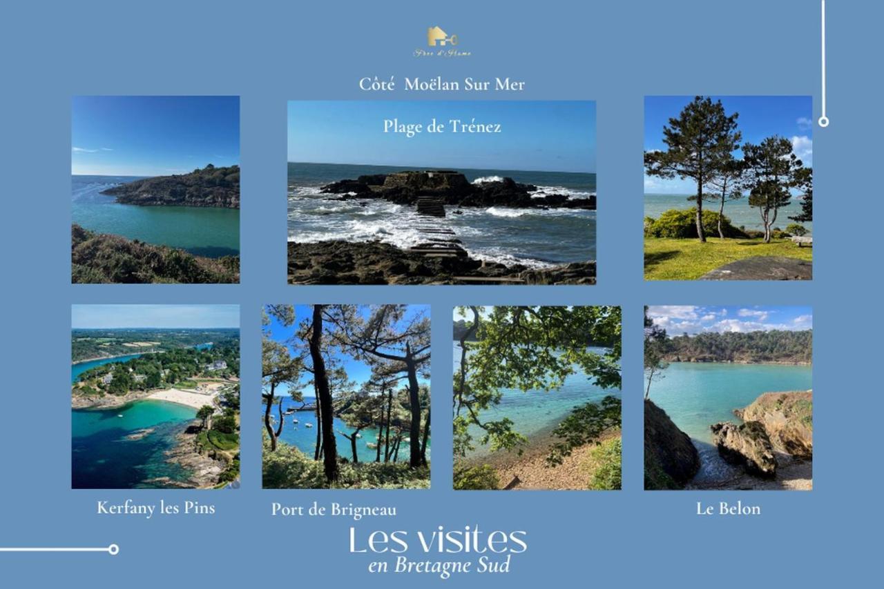 Le Tiguidou, Cosy, Lumineux, 2-6 Pers, Plage 300M Moëlan-sur-Mer 외부 사진