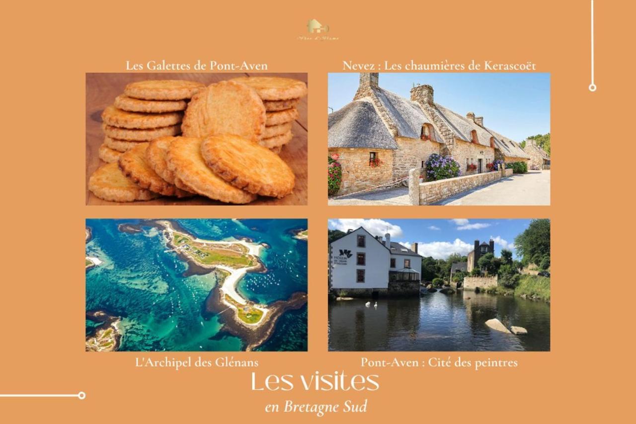 Le Tiguidou, Cosy, Lumineux, 2-6 Pers, Plage 300M Moëlan-sur-Mer 외부 사진